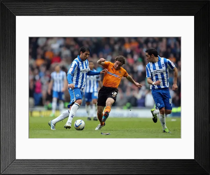 Framed Print : Brighton & Hove Albion vs. Wolves: 2012-13 Home Game