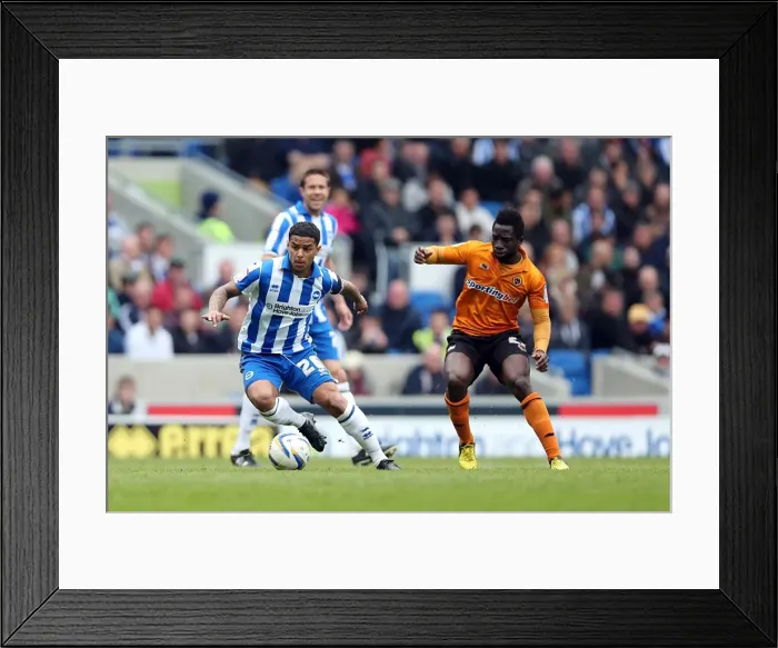 Framed Print : Brighton & Hove Albion vs. Wolves: 2012-13 Home Game Framed Print : Brighton & Hove Albion vs. Wolves: 2012-13 Home Game