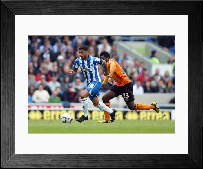 Framed Print : Brighton & Hove Albion vs. Wolves: 2012-13 Home Game Framed Print : Brighton & Hove Albion vs. Wolves: 2012-13 Home Game