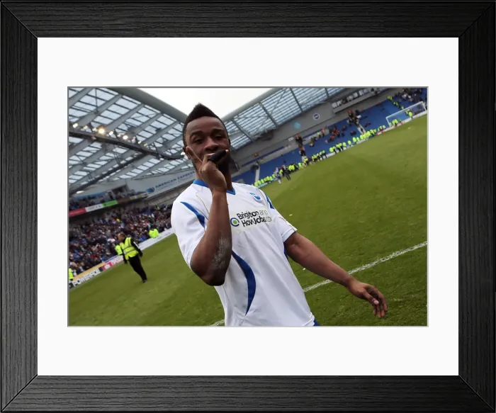 Framed Print : Brighton & Hove Albion vs. Wolves: 2012-13 Home Game