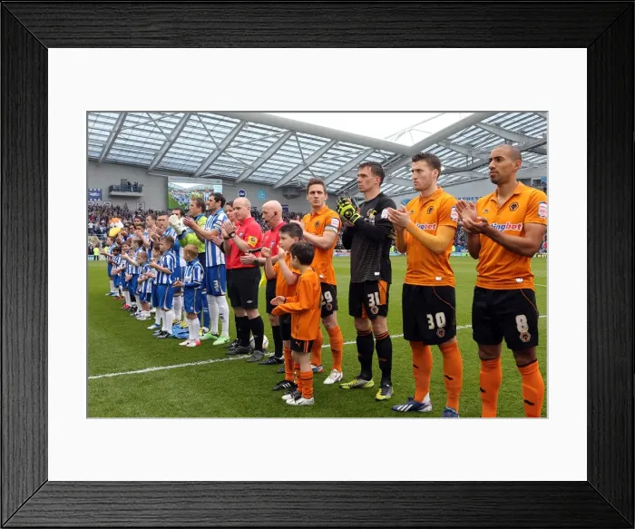 Framed Print : Brighton & Hove Albion vs. Wolves: 2012-13 Home Game