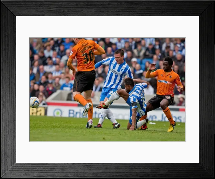 Framed Print : Brighton & Hove Albion vs. Wolves: 2012-13 Home Game Framed Print : Brighton & Hove Albion vs. Wolves: 2012-13 Home Game