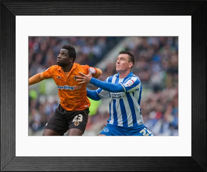 Framed Print : Brighton & Hove Albion vs. Wolves: 2012-13 Home Game Framed Print : Brighton & Hove Albion vs. Wolves: 2012-13 Home Game