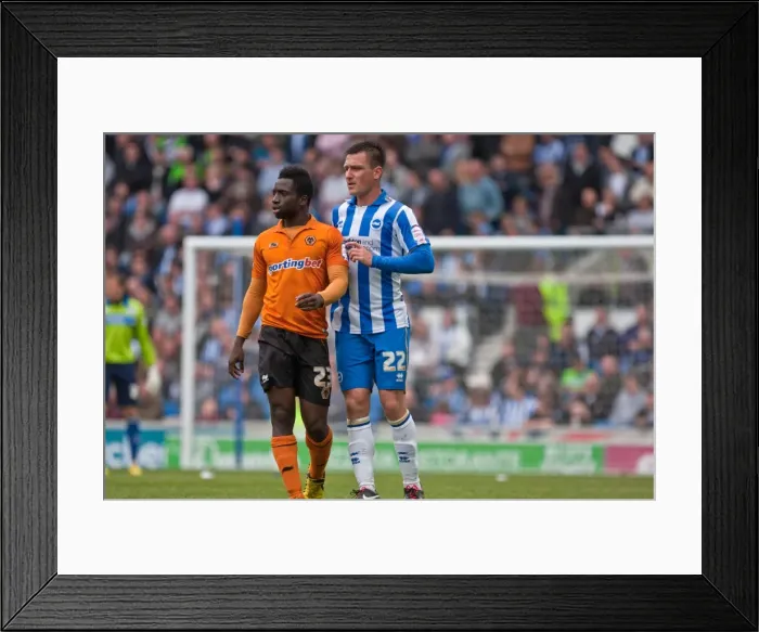 Framed Print : Brighton & Hove Albion vs. Wolves: 2012-13 Home Game Framed Print : Brighton & Hove Albion vs. Wolves: 2012-13 Home Game
