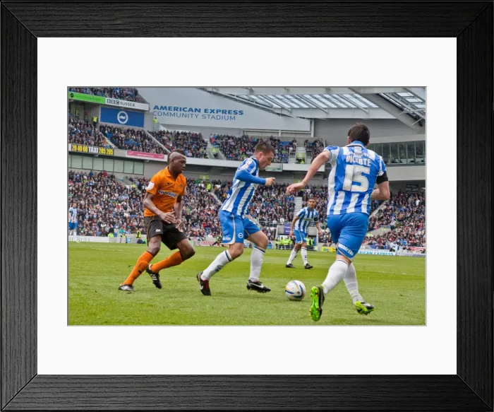 Framed Print : Brighton & Hove Albion vs. Wolves: 2012-13 Home Game