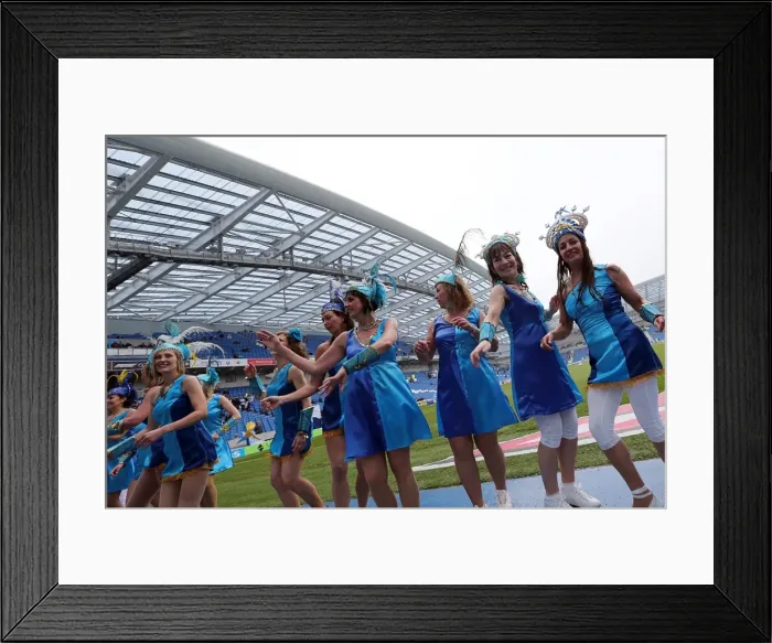 Framed Print : Brighton & Hove Albion vs. Wolves: 2012-13 Home Game Framed Print : Brighton & Hove Albion vs. Wolves: 2012-13 Home Game