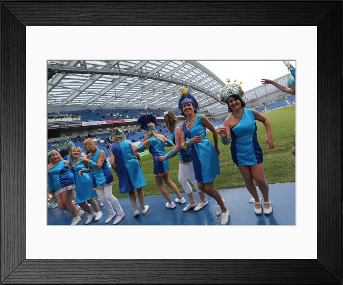 Framed Print : Brighton & Hove Albion vs. Wolves: 2012-13 Home Game Framed Print : Brighton & Hove Albion vs. Wolves: 2012-13 Home Game