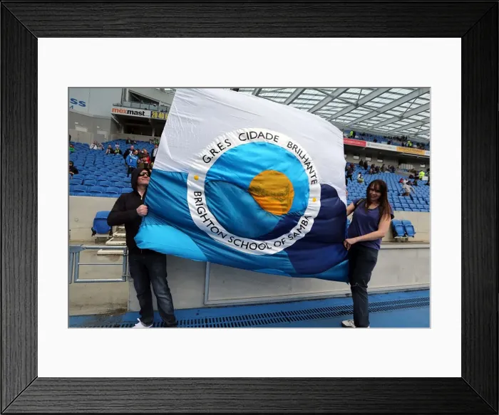 Framed Print : Brighton & Hove Albion vs. Wolves: 2012-13 Home Game Framed Print : Brighton & Hove Albion vs. Wolves: 2012-13 Home Game