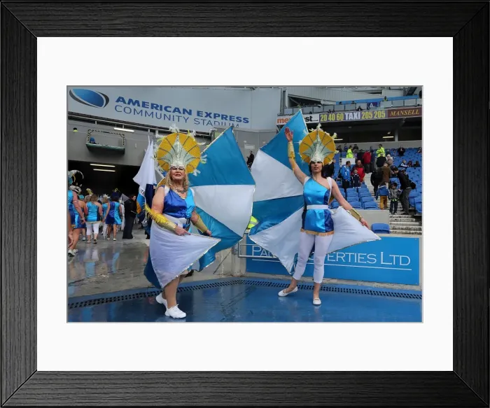 Framed Print : Brighton & Hove Albion vs. Wolves: 2012-13 Home Game