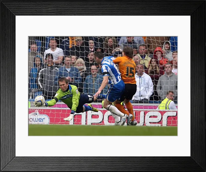 Framed Print : Brighton & Hove Albion vs. Wolves: 2012-13 Home Game Framed Print : Brighton & Hove Albion vs. Wolves: 2012-13 Home Game