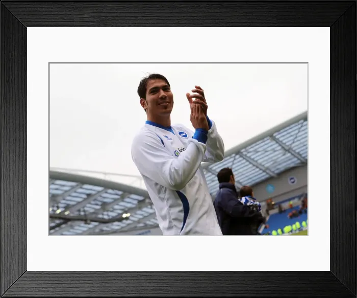 Framed Print : Brighton & Hove Albion vs. Wolves: 2012-13 Home Game