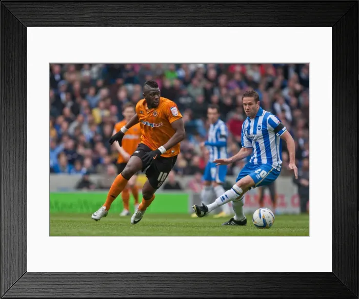 Framed Print : Brighton & Hove Albion vs. Wolves: 2012-13 Home Game