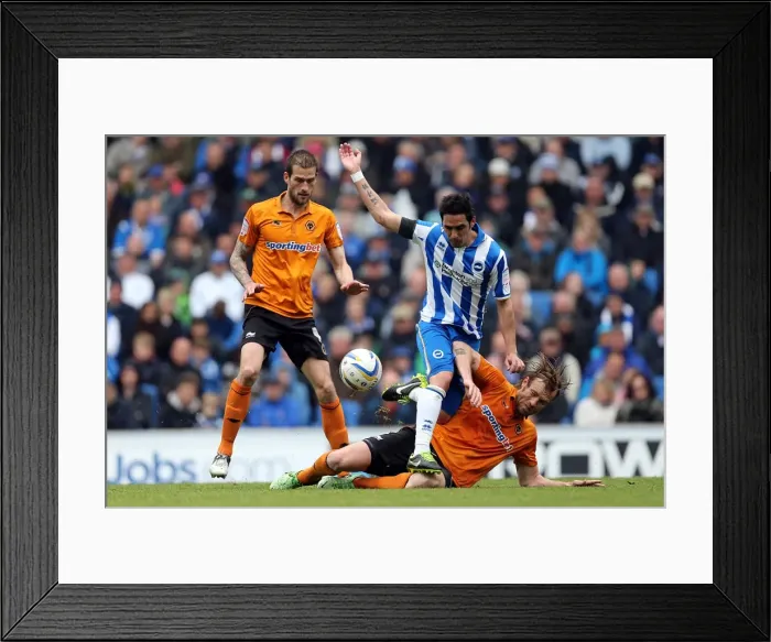 Framed Print : Brighton & Hove Albion vs. Wolves: 2012-13 Home Game Framed Print : Brighton & Hove Albion vs. Wolves: 2012-13 Home Game