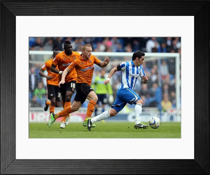 Framed Print : Brighton & Hove Albion vs. Wolves: 2012-13 Home Game Framed Print : Brighton & Hove Albion vs. Wolves: 2012-13 Home Game