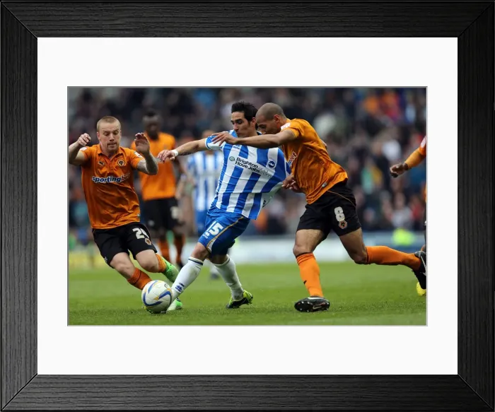 Framed Print : Brighton & Hove Albion vs. Wolves: 2012-13 Home Game Framed Print : Brighton & Hove Albion vs. Wolves: 2012-13 Home Game