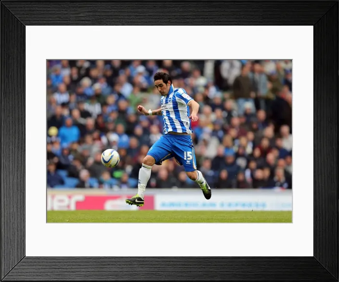 Framed Print : Brighton & Hove Albion vs. Wolves: 2012-13 Home Game Framed Print : Brighton & Hove Albion vs. Wolves: 2012-13 Home Game