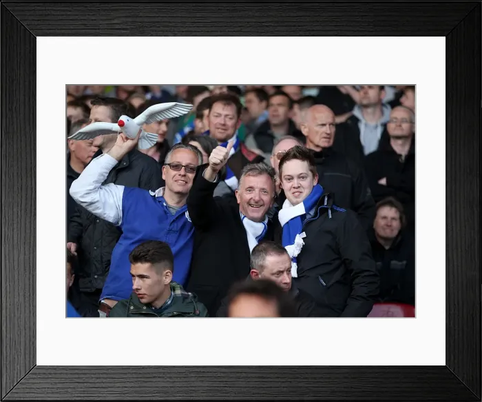Framed Print : Sea of Supporters: Brighton and Hove Albion Away Games 2012-13 Framed Print : Sea of Supporters: Brighton and Hove Albion Away Games 2012-13