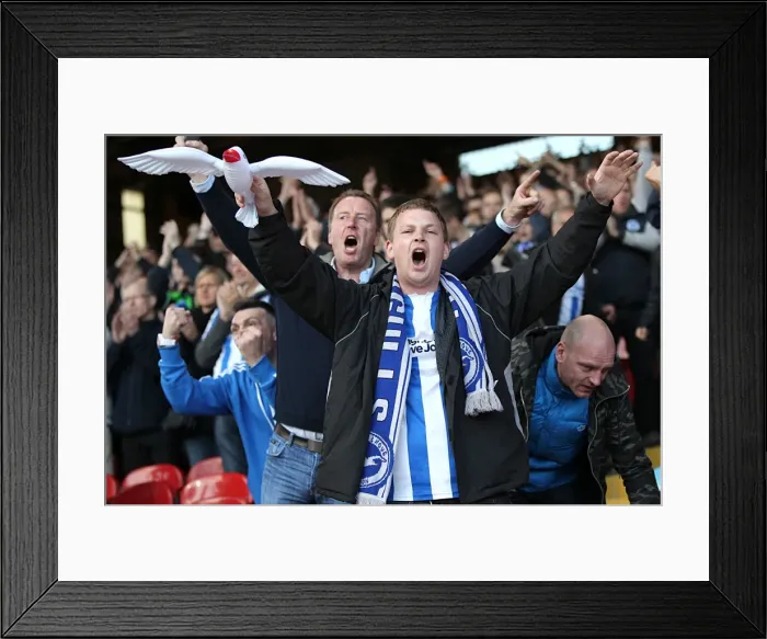 Framed Print : Brighton and Hove Albion FC: Electrifying Away Days 2012-13 - Passionate Crowd Shots Framed Print : Brighton and Hove Albion FC: Electrifying Away Days 2012-13 - Passionate Crowd Shots