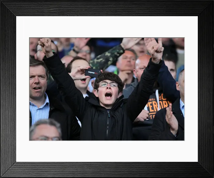Framed Print : Sea of Seagulls: Brighton and Hove Albion Away Days 2012-13 Framed Print : Sea of Seagulls: Brighton and Hove Albion Away Days 2012-13