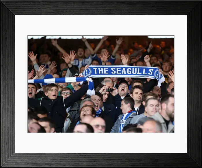 Framed Print : Brighton & Hove Albion vs. Crystal Palace: 2013 Play-Off Semifinal First Leg Framed Print : Brighton & Hove Albion vs. Crystal Palace: 2013 Play-Off Semifinal First Leg