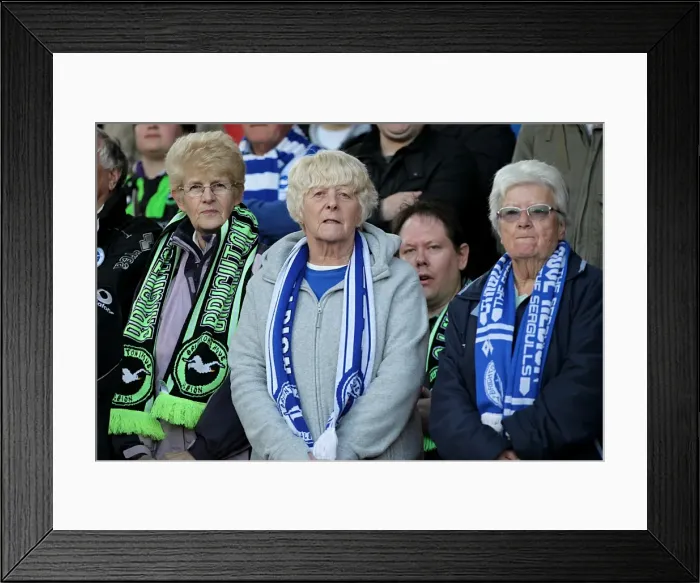 Framed Print : Brighton and Hove Albion Away Days 2012-13: A Sea of Supporters (Crowd Shots) Framed Print : Brighton and Hove Albion Away Days 2012-13: A Sea of Supporters (Crowd Shots)