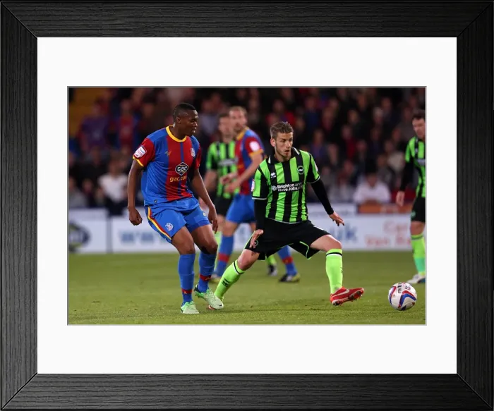 Framed Print : Brighton & Hove Albion vs. Crystal Palace: 2013 Play-Off Semifinal First Leg Framed Print : Brighton & Hove Albion vs. Crystal Palace: 2013 Play-Off Semifinal First Leg