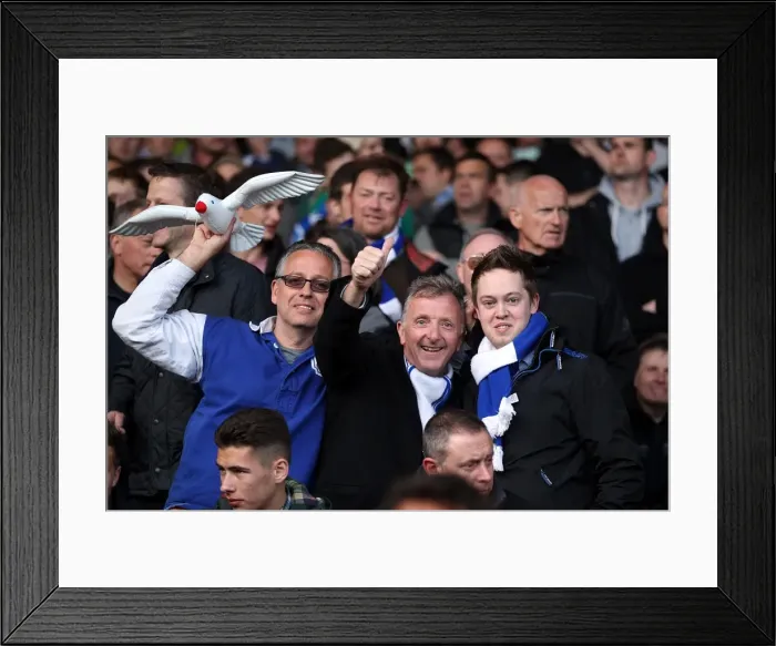 Framed Print : Brighton & Hove Albion vs. Crystal Palace: 2013 Play-Off Semifinal First Leg Framed Print : Brighton & Hove Albion vs. Crystal Palace: 2013 Play-Off Semifinal First Leg