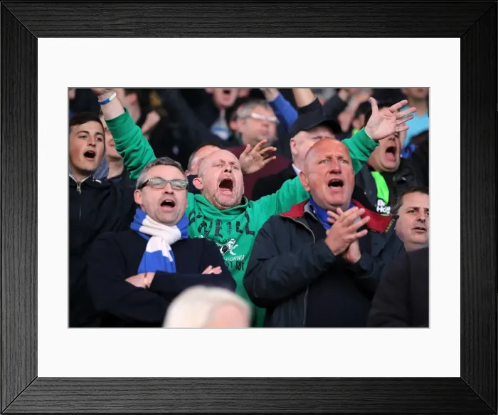 Framed Print : Sea of Seagulls: Brighton and Hove Albion Away Days 2012-13 Framed Print : Sea of Seagulls: Brighton and Hove Albion Away Days 2012-13