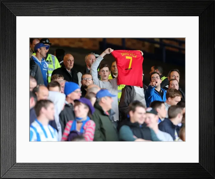 Framed Print : Brighton & Hove Albion vs. Crystal Palace: 2013 Play-Off Semifinal First Leg Framed Print : Brighton & Hove Albion vs. Crystal Palace: 2013 Play-Off Semifinal First Leg