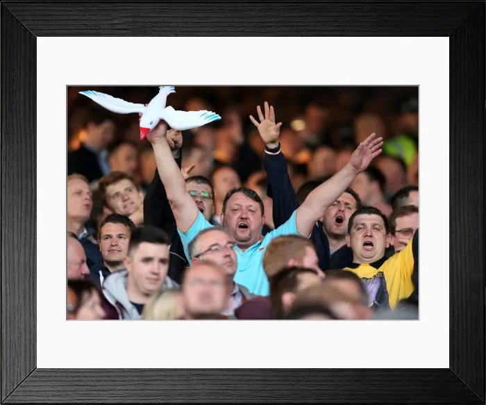 Framed Print : Brighton And Hove Albion Crowd Shots: Crowd Shots Away Days 2012-13 Framed Print : Brighton And Hove Albion Crowd Shots: Crowd Shots Away Days 2012-13