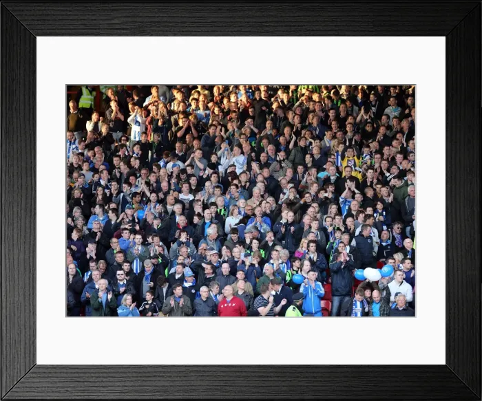 Framed Print : Brighton & Hove Albion vs. Crystal Palace: 2013 Play-Off First Leg Framed Print : Brighton & Hove Albion vs. Crystal Palace: 2013 Play-Off First Leg