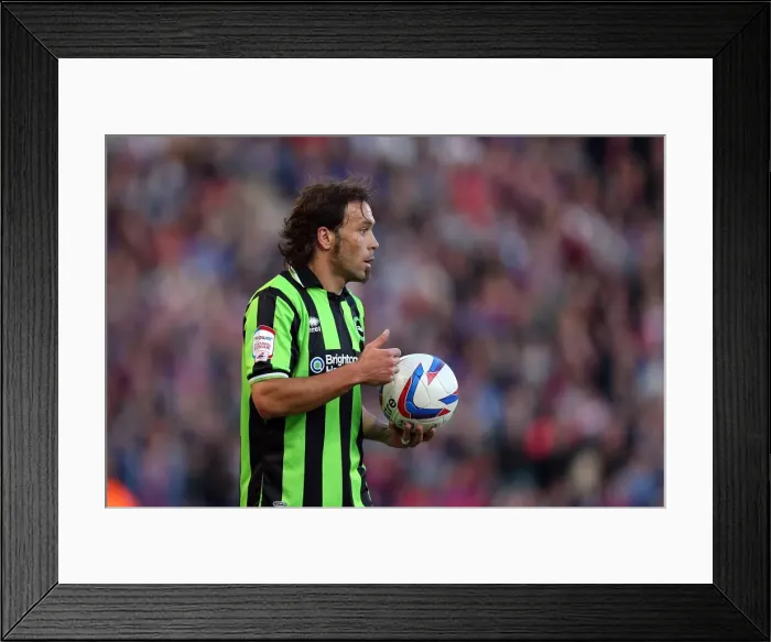 Framed Print : Brighton & Hove Albion vs. Crystal Palace: 2013 Play-Off Semifinal First Leg Framed Print : Brighton & Hove Albion vs. Crystal Palace: 2013 Play-Off Semifinal First Leg