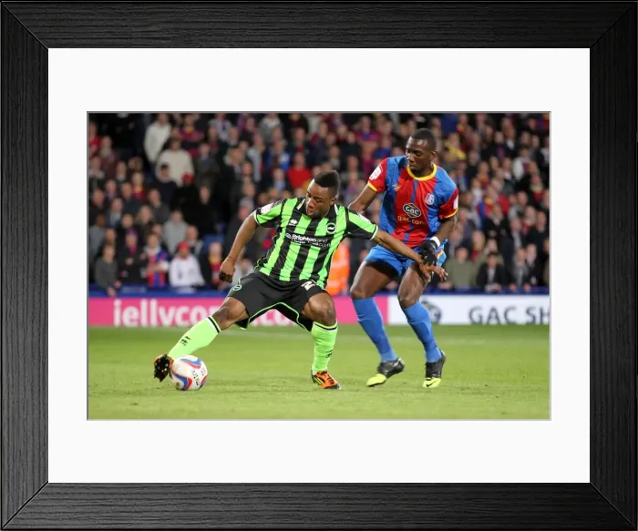 Framed Print : Brighton & Hove Albion vs. Crystal Palace: 2013 Play-Off Semifinal First Leg Framed Print : Brighton & Hove Albion vs. Crystal Palace: 2013 Play-Off Semifinal First Leg
