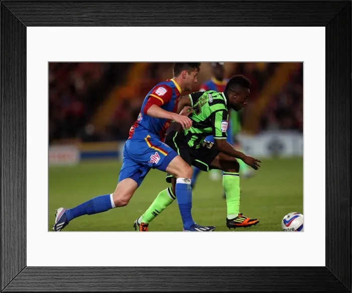 Framed Print : Brighton & Hove Albion vs. Crystal Palace: 2013 Play-Off First Leg Framed Print : Brighton & Hove Albion vs. Crystal Palace: 2013 Play-Off First Leg