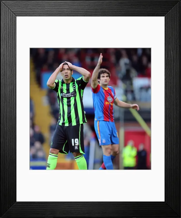 Framed Print : Brighton & Hove Albion vs. Crystal Palace: 2013 Play-Off Semifinal First Leg Framed Print : Brighton & Hove Albion vs. Crystal Palace: 2013 Play-Off Semifinal First Leg