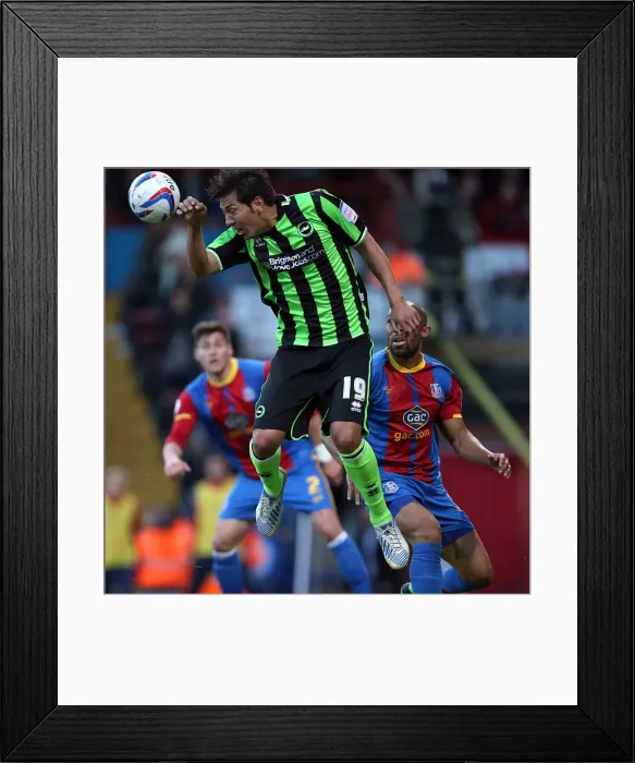 Framed Print : Brighton & Hove Albion vs. Crystal Palace: 2013 Play-Off Semifinal First Leg Framed Print : Brighton & Hove Albion vs. Crystal Palace: 2013 Play-Off Semifinal First Leg