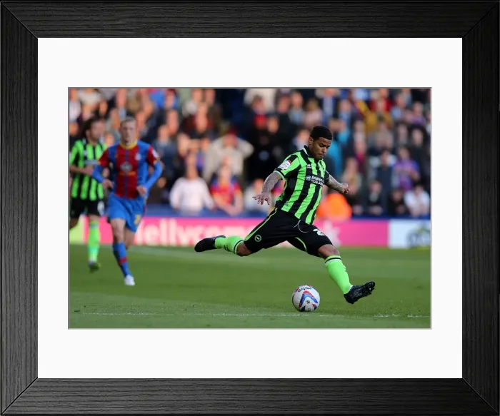 Framed Print : Brighton & Hove Albion vs. Crystal Palace: 2013 Play-Off Semifinal First Leg Framed Print : Brighton & Hove Albion vs. Crystal Palace: 2013 Play-Off Semifinal First Leg