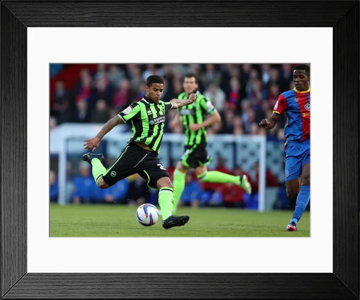 Framed Print : Brighton & Hove Albion vs. Crystal Palace: 2013 Play-Off Semifinal First Leg Framed Print : Brighton & Hove Albion vs. Crystal Palace: 2013 Play-Off Semifinal First Leg
