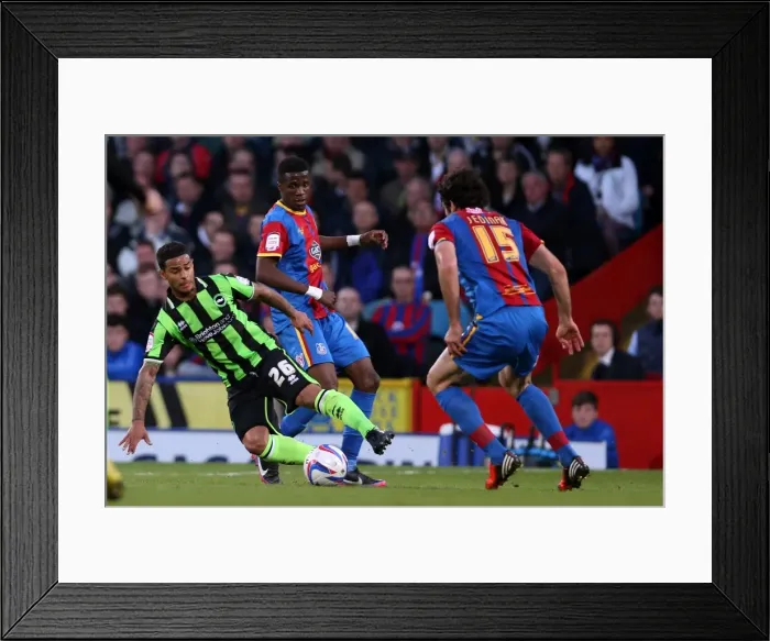 Framed Print : Brighton & Hove Albion vs. Crystal Palace: 2013 Play-Off Semifinal First Leg Framed Print : Brighton & Hove Albion vs. Crystal Palace: 2013 Play-Off Semifinal First Leg