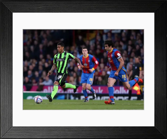 Framed Print : Brighton & Hove Albion vs. Crystal Palace: 2013 Play-Off Semifinal First Leg Framed Print : Brighton & Hove Albion vs. Crystal Palace: 2013 Play-Off Semifinal First Leg