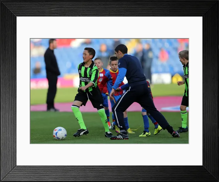 Framed Print : Brighton & Hove Albion vs. Crystal Palace: 2013 Play-Off 1st Leg Framed Print : Brighton & Hove Albion vs. Crystal Palace: 2013 Play-Off 1st Leg