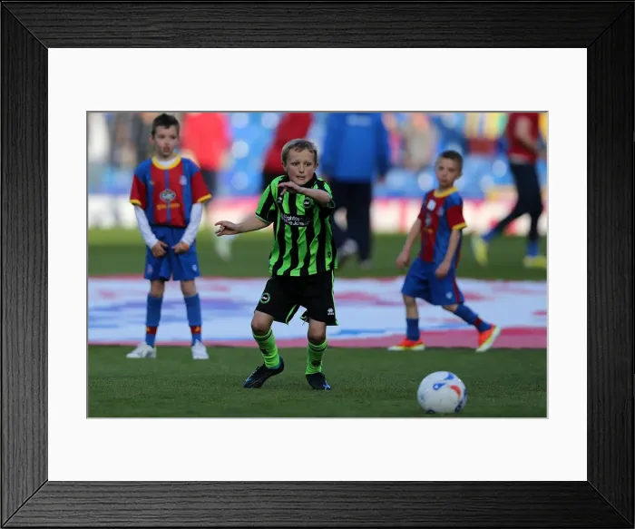 Framed Print : Brighton & Hove Albion vs. Crystal Palace: 2013 Play-Off Semifinal First Leg Framed Print : Brighton & Hove Albion vs. Crystal Palace: 2013 Play-Off Semifinal First Leg
