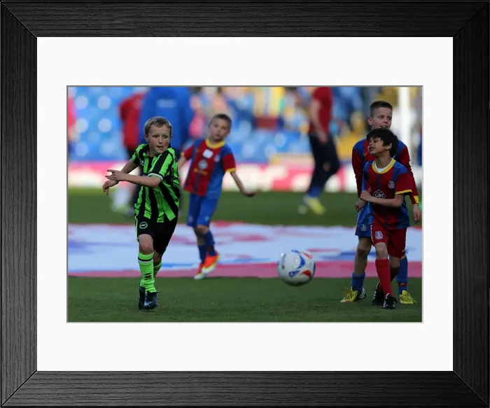 Framed Print : Brighton & Hove Albion vs. Crystal Palace: 2013 Play-Off Semifinal First Leg Framed Print : Brighton & Hove Albion vs. Crystal Palace: 2013 Play-Off Semifinal First Leg