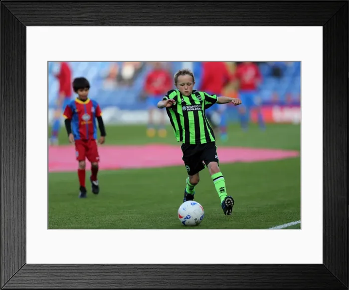 Framed Print : Brighton & Hove Albion vs. Crystal Palace: 2013 Play-Off Semifinal First Leg Framed Print : Brighton & Hove Albion vs. Crystal Palace: 2013 Play-Off Semifinal First Leg