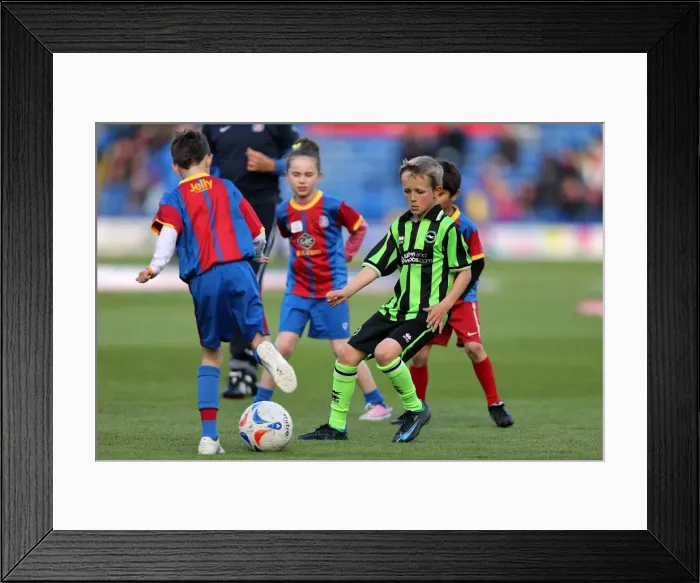 Framed Print : Brighton & Hove Albion vs. Crystal Palace: 2013 Play-Off First Leg