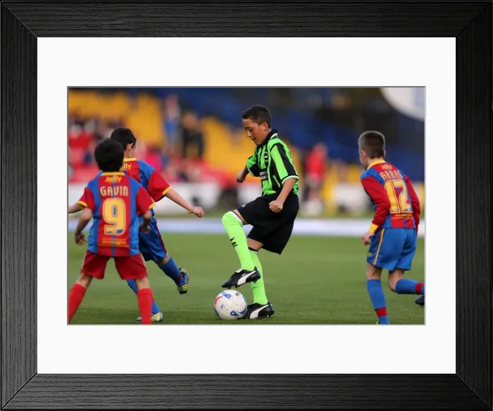Framed Print : Brighton & Hove Albion vs. Crystal Palace: 2013 Play-Off First Leg Framed Print : Brighton & Hove Albion vs. Crystal Palace: 2013 Play-Off First Leg