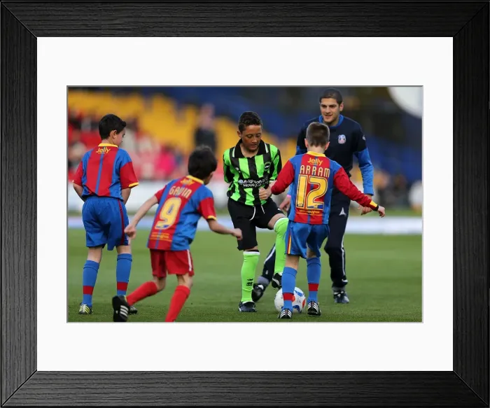 Framed Print : Brighton & Hove Albion vs. Crystal Palace: 2013 Play-Off Semifinal First Leg Framed Print : Brighton & Hove Albion vs. Crystal Palace: 2013 Play-Off Semifinal First Leg