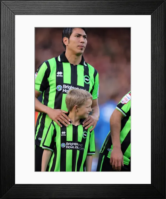 Framed Print : Brighton & Hove Albion vs. Crystal Palace: 2013 Play-Off Semifinal First Leg Framed Print : Brighton & Hove Albion vs. Crystal Palace: 2013 Play-Off Semifinal First Leg
