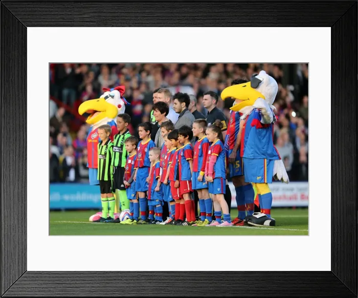 Framed Print : Brighton & Hove Albion vs. Crystal Palace: 2013 Play-Off Semifinal First Leg