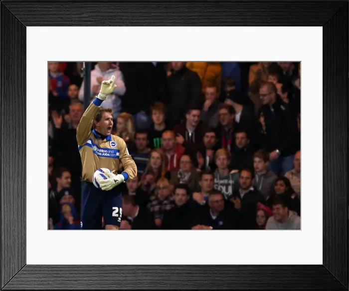 Framed Print : Brighton & Hove Albion vs. Crystal Palace: 2013 Play-Off Semifinal First Leg